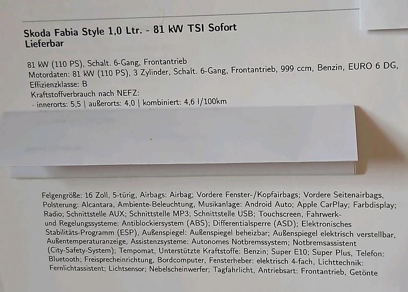 Gebraucht Skoda Fabia Style 110 PS (80 kW) 2020 Blau Kleinwagen