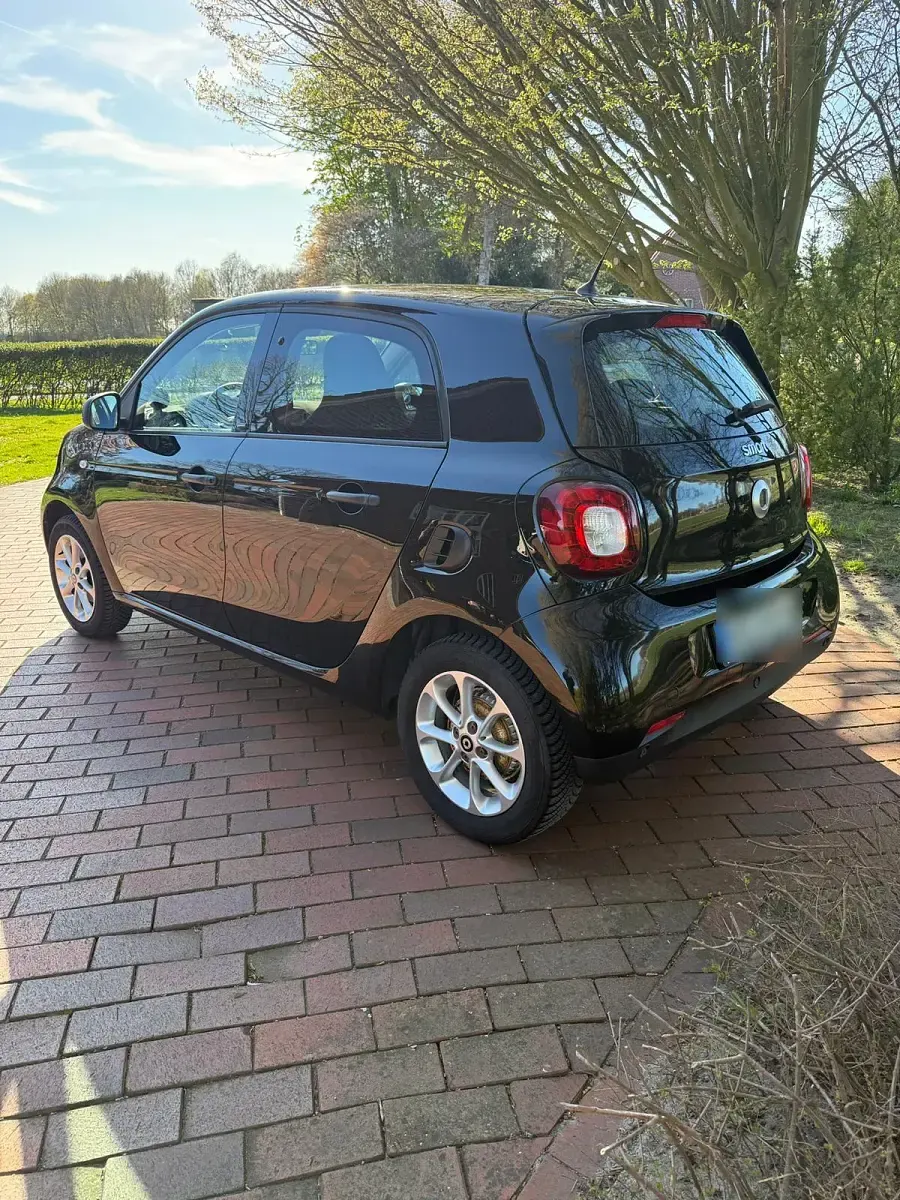Usata Smart ForFour 90 CV (66 kW) 2019 Nero Utilitaria