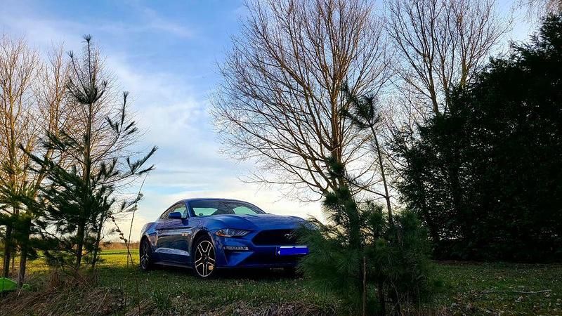 Blau Gebraucht 2019 Ford Mustang Premium Coupé | 30.400 € (Fairer Preis) - Bild 1/4