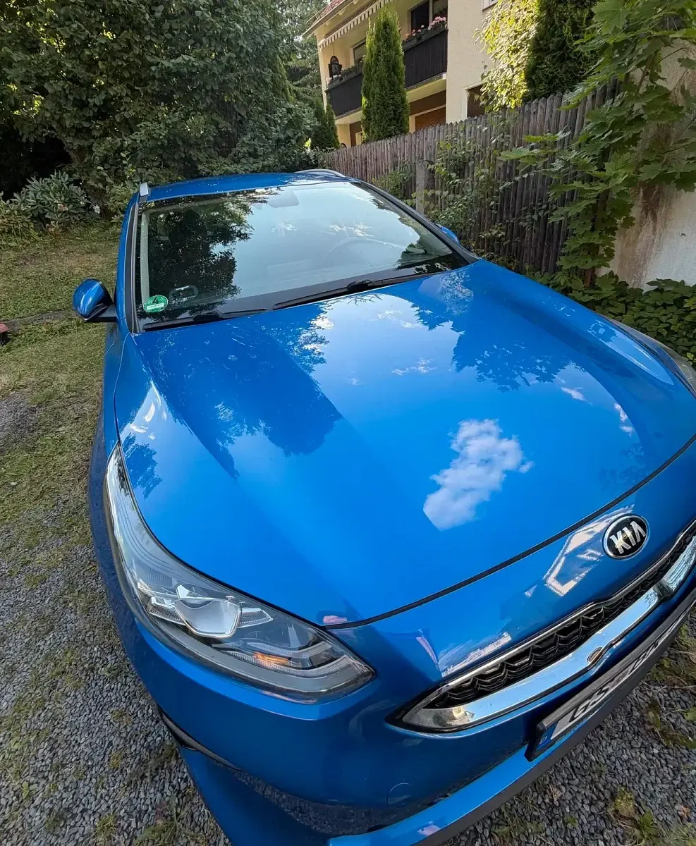 Gebraucht Kia Ceed 136 PS (100 kW) 2019 Blau Kleinwagen