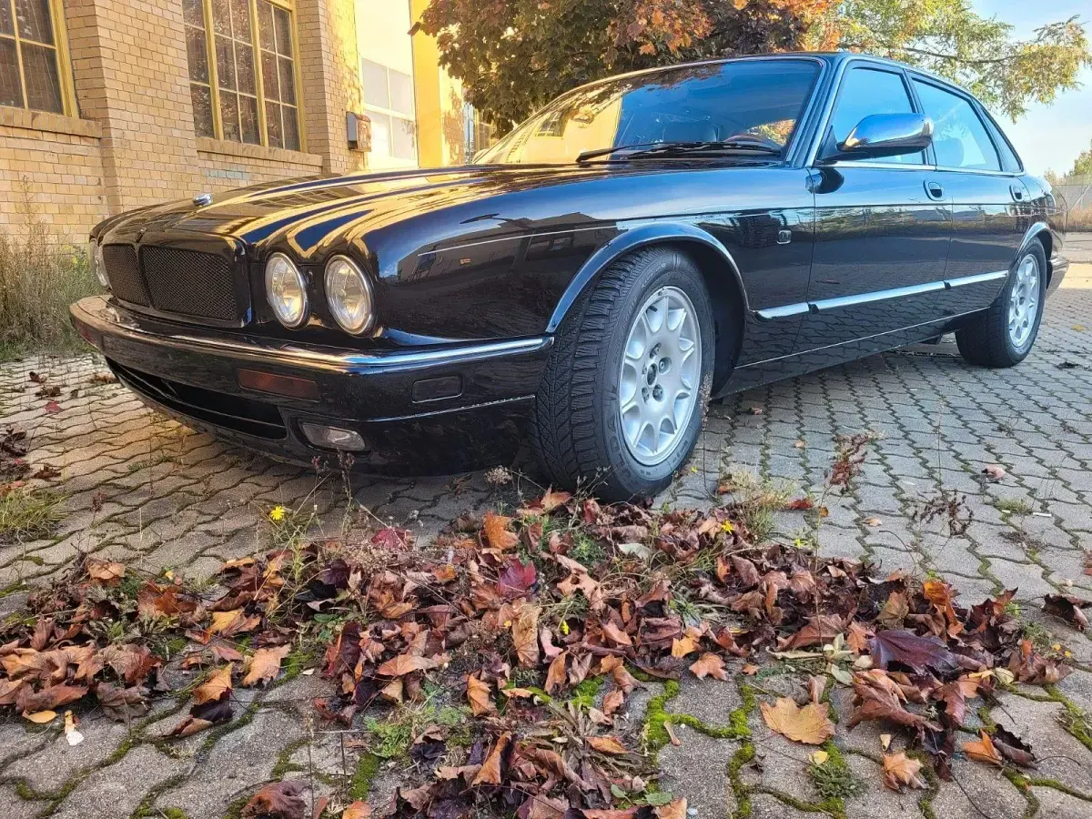 Gebraucht Jaguar X300 211 PS (155 kW) 1996 Schwarz Limousine