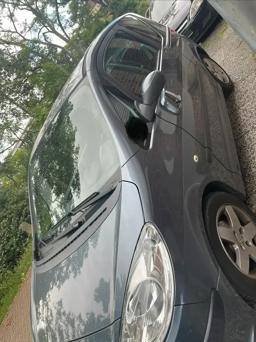 Gebraucht Peugeot 1007 95 PS (69 kW) 2006 Grau Van / Kleinbus