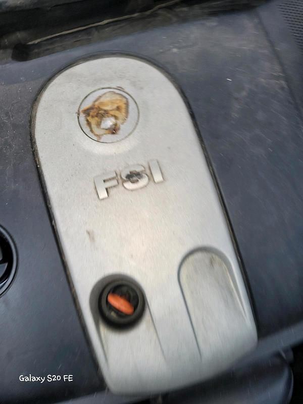 Gebraucht VW Golf V 115 PS (84 kW) 2004 Blau Kleinwagen