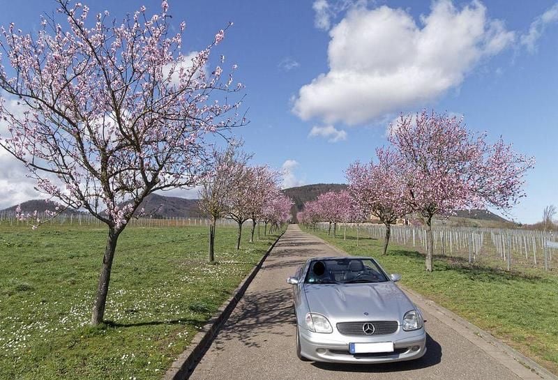 Silber Gebraucht 2001 Mercedes SLK200 Cabrio | 2.500 € (Superpreis) - Bild 1/4