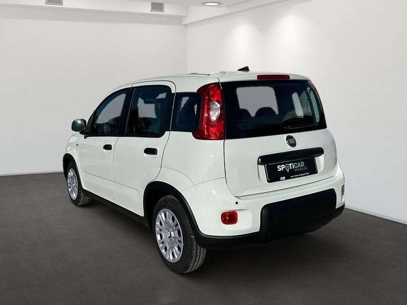 Gebraucht Fiat Panda 69 PS (50 kW) 2024 Gelato weiss Kleinwagen