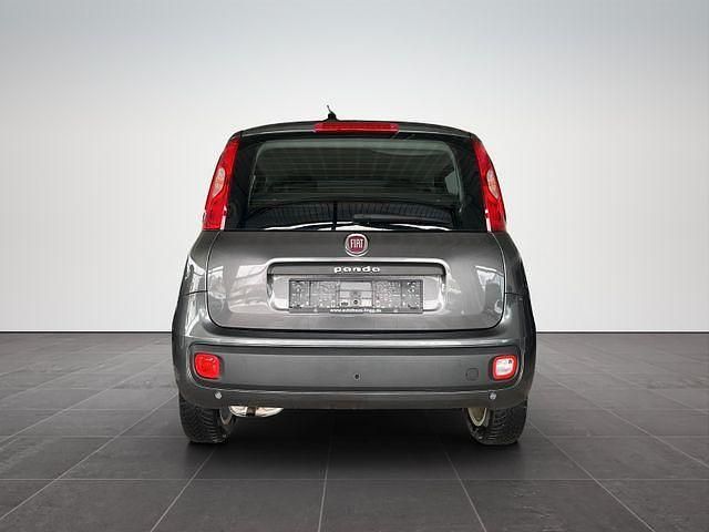 Gebraucht Fiat Panda Lounge 69 PS (50 kW) 2019 Grigio colosseo grigio colosseo Kleinwagen