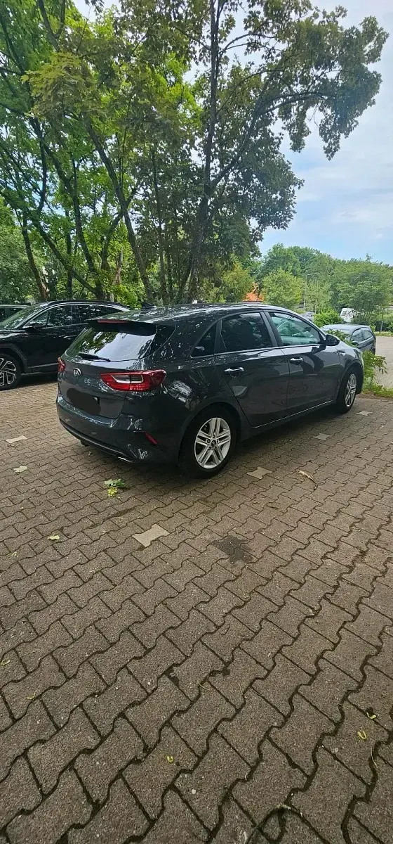 Gebraucht Kia Ceed 99 PS (72 kW) 2019 Grau Kleinwagen
