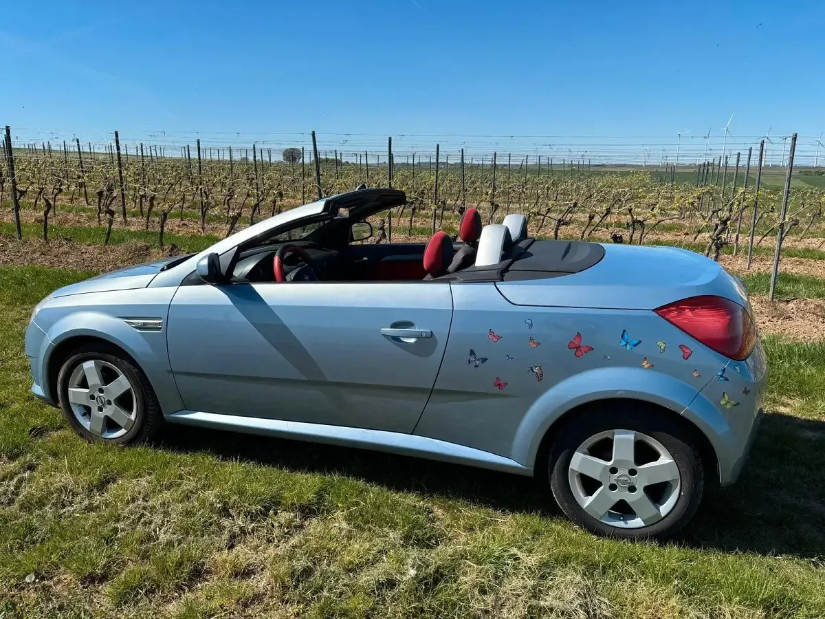 Gebraucht Opel Tigra 90 PS (66 kW) 2005 Blau Cabrio
