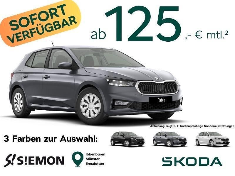Neu Skoda Fabia Selection 95 PS (69 kW) 2026 Grau Kleinwagen