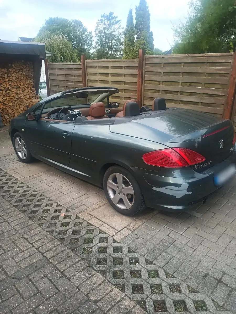 Gebraucht Peugeot 307 CC 136 PS (100 kW) 2004 Grün Cabrio
