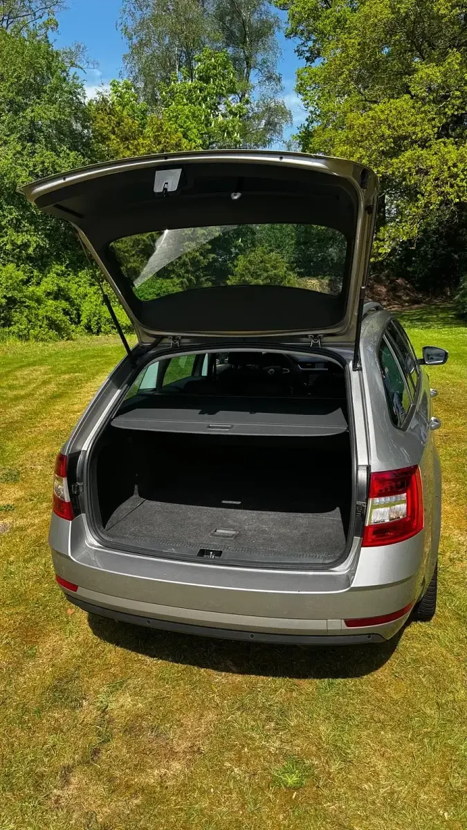 Gebraucht Skoda Octavia Clever 150 PS (110 kW) 2017 Beige Kombi