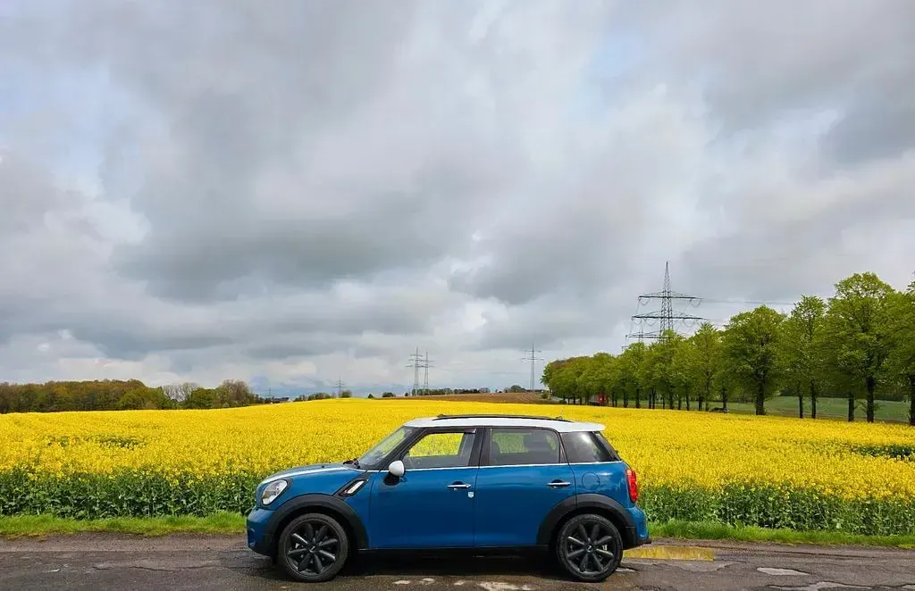 Usata Mini Cooper S Countryman 184 CV (135 kW) 2010 Blu SUV