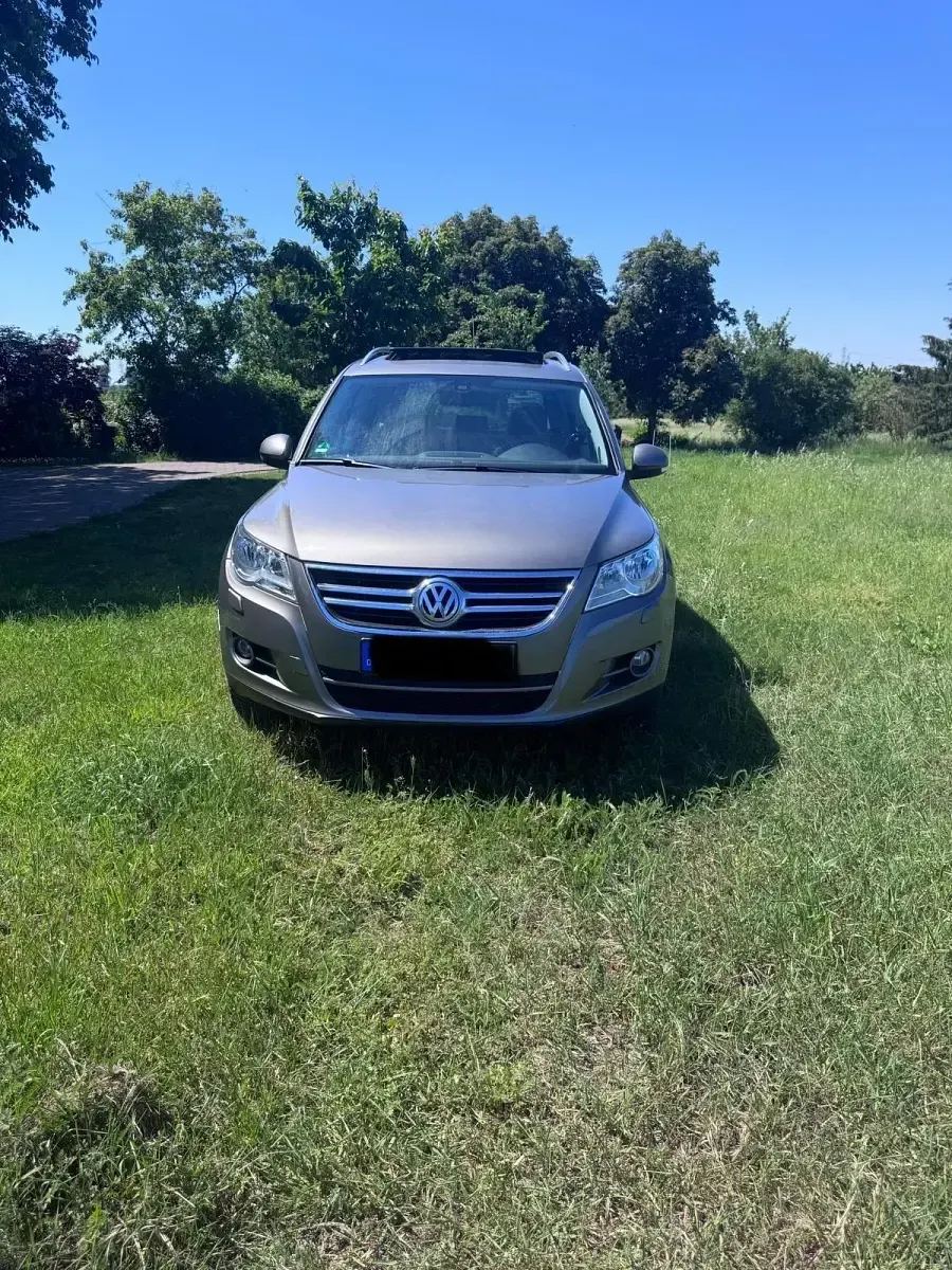 Gebraucht VW Tiguan 2009 SUV