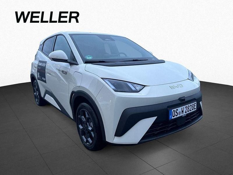 Neu BYD Dolphin Surf Comfort 230 kW (313 PS) 2025 Ice blue (blau) Kleinwagen