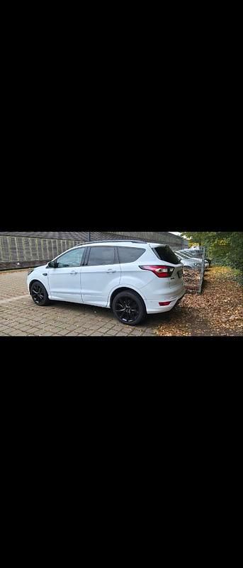 Gebraucht Ford Kuga ST-Line 150 PS (110 kW) 2019 Weiß SUV