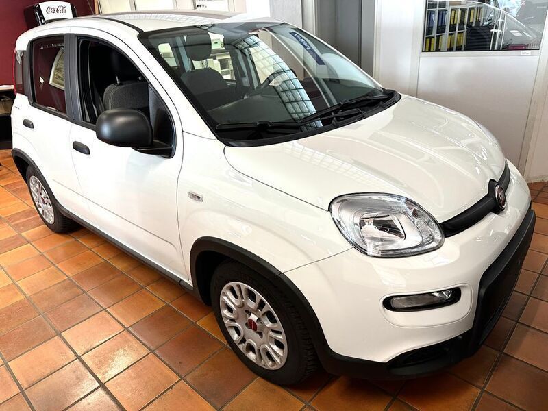 Gebraucht Fiat Panda 69 PS (50 kW) 2023 Weiß Kleinwagen