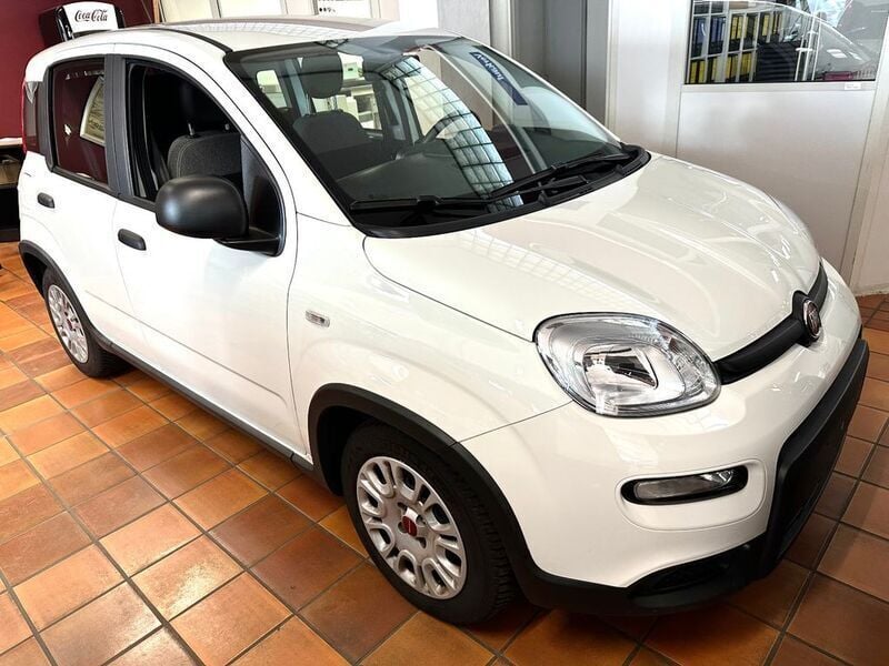Weiß Gebraucht 2023 Fiat Panda Kleinwagen | 11.300 € (Fairer Preis) - Bild 1/4