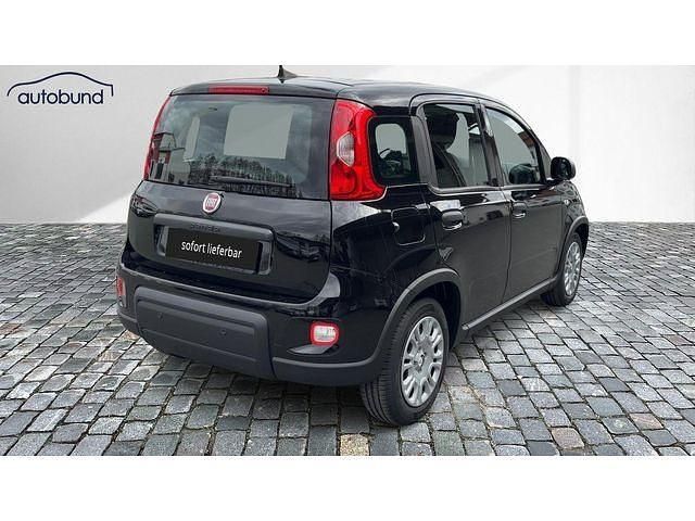 Gebraucht Fiat Panda 69 PS (50 kW) 2024 Kleinwagen