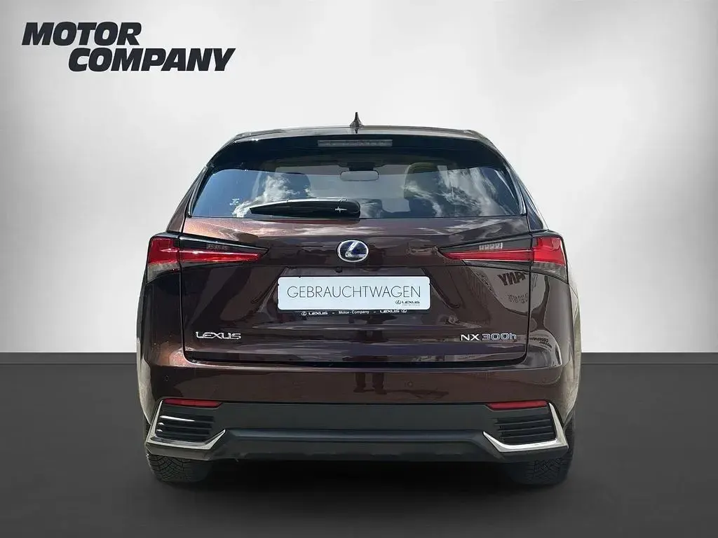 Gebraucht Lexus NX300h Luxury Line 197 PS (144 kW) 2019 Braun SUV