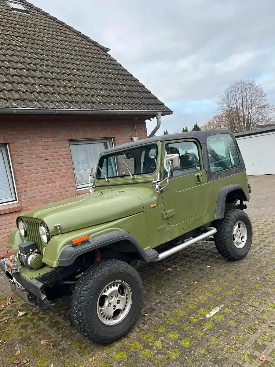 Gebraucht Jeep Wrangler 121 PS (88 kW) 1993 Grün SUV