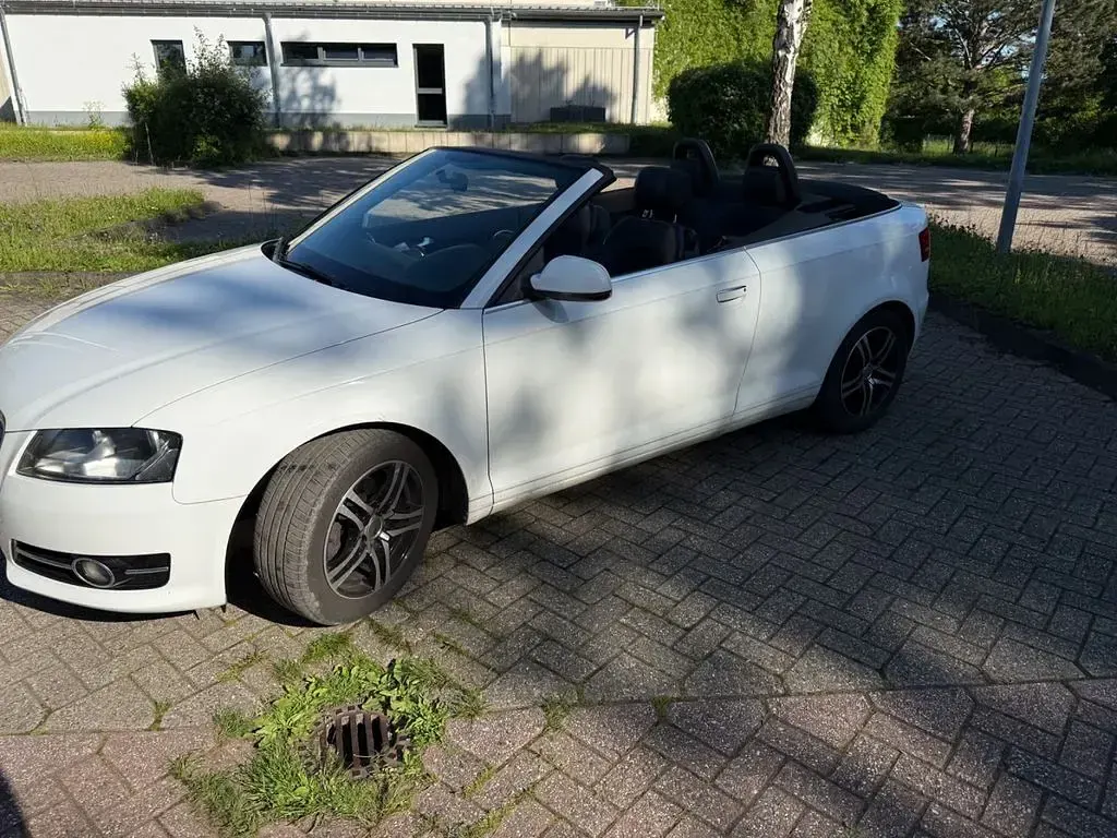Gebraucht Audi A3 Cabriolet Ambition 105 PS (77 kW) 2011 Weiß Cabrio