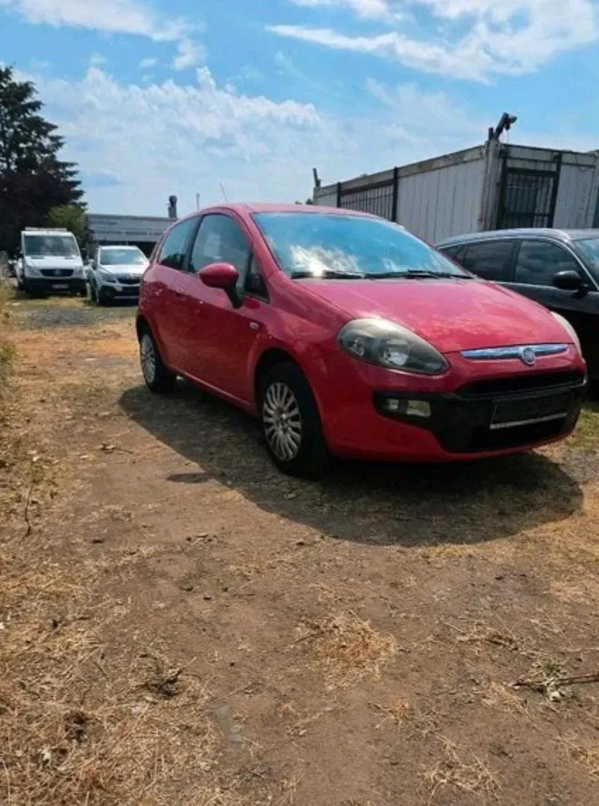Gebraucht Fiat Punto 77 PS (56 kW) 2011 Rot Kleinwagen