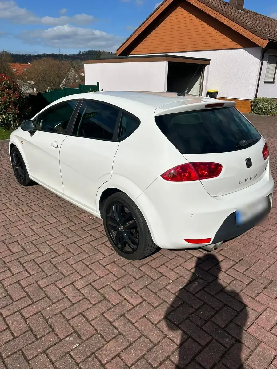 Usata Seat Leon FR 170 CV (125 kW) 2010 Bianco Utilitaria