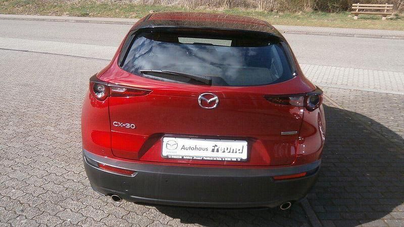Gebraucht Mazda CX-30 122 PS (89 kW) 2020 Rot SUV
