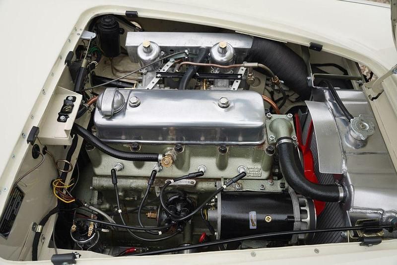 Gebraucht Austin Healey 100 1953 Weiß Cabrio