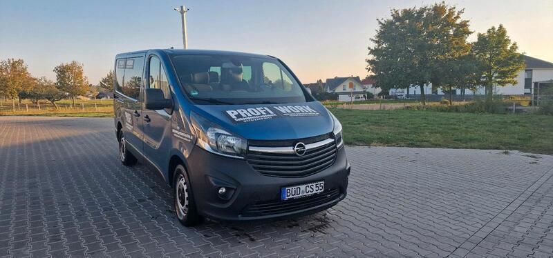 Blau Gebraucht 2018 Opel Vivaro Van | 12.800 € (Teuer) - Bild 1/4