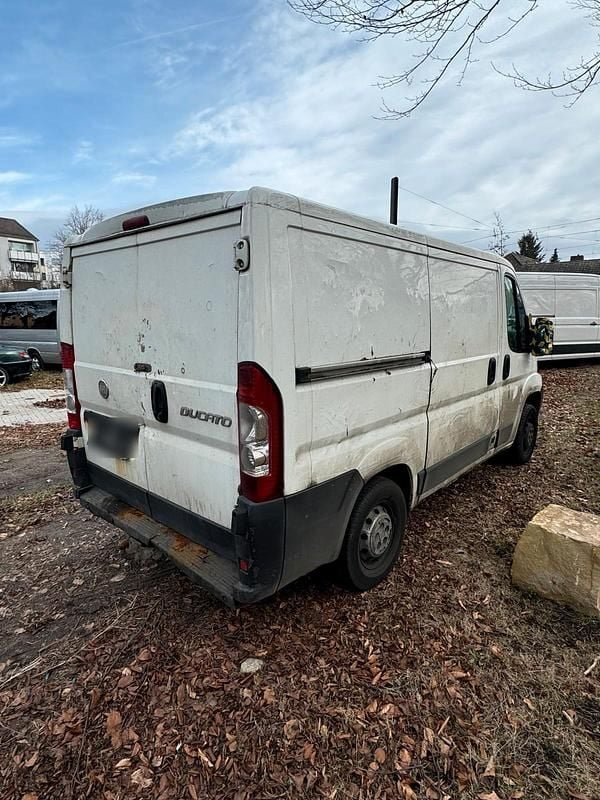 Gebraucht Fiat Ducato 101 PS (74 kW) 2008 Weiß Van