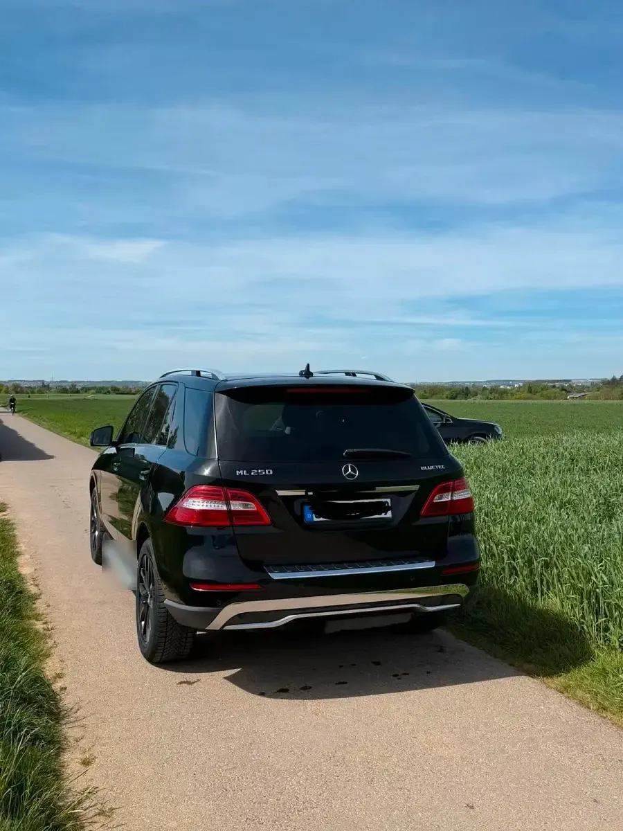 Gebraucht Mercedes ML250 205 PS (150 kW) 2013 Schwarz SUV