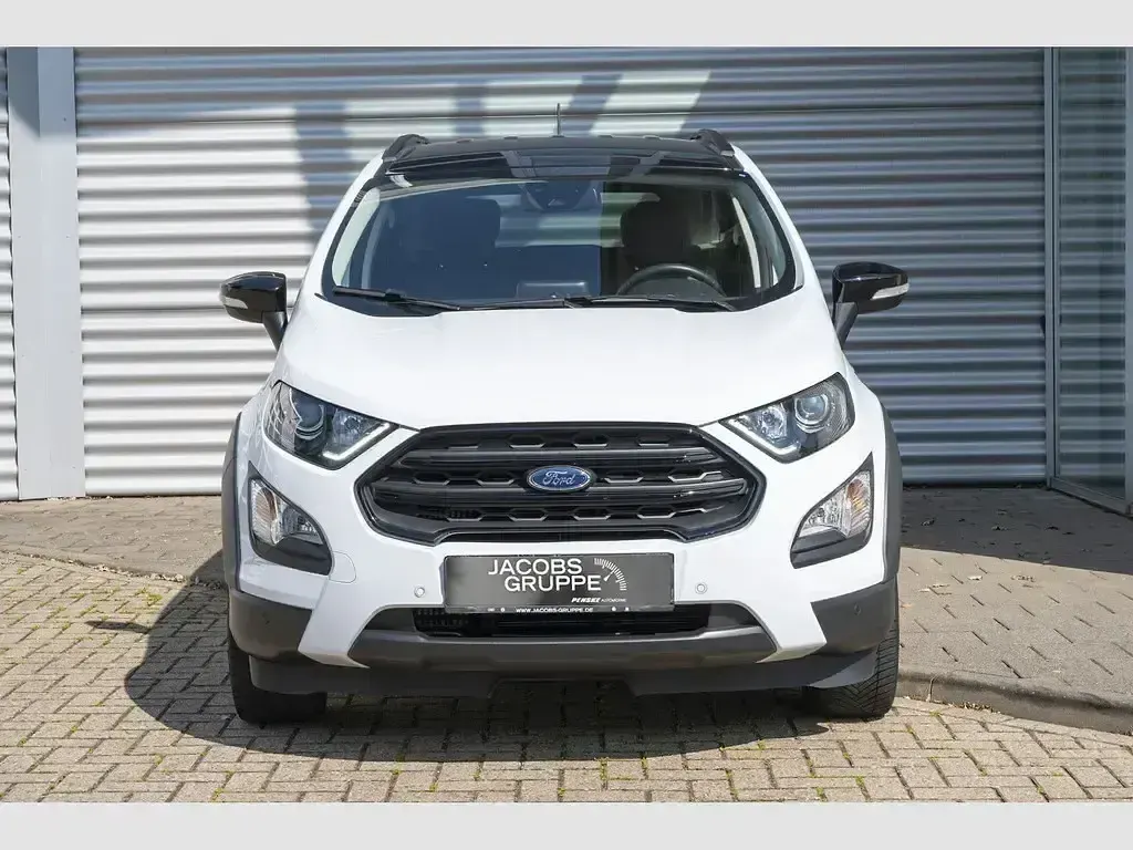 Gebraucht Ford Ecosport Active 125 PS (91 kW) 2021 Weiß SUV
