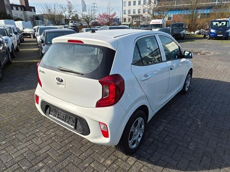 Gebraucht Kia Picanto Edition 7 67 PS (49 kW) 2019 Weiß Kleinwagen