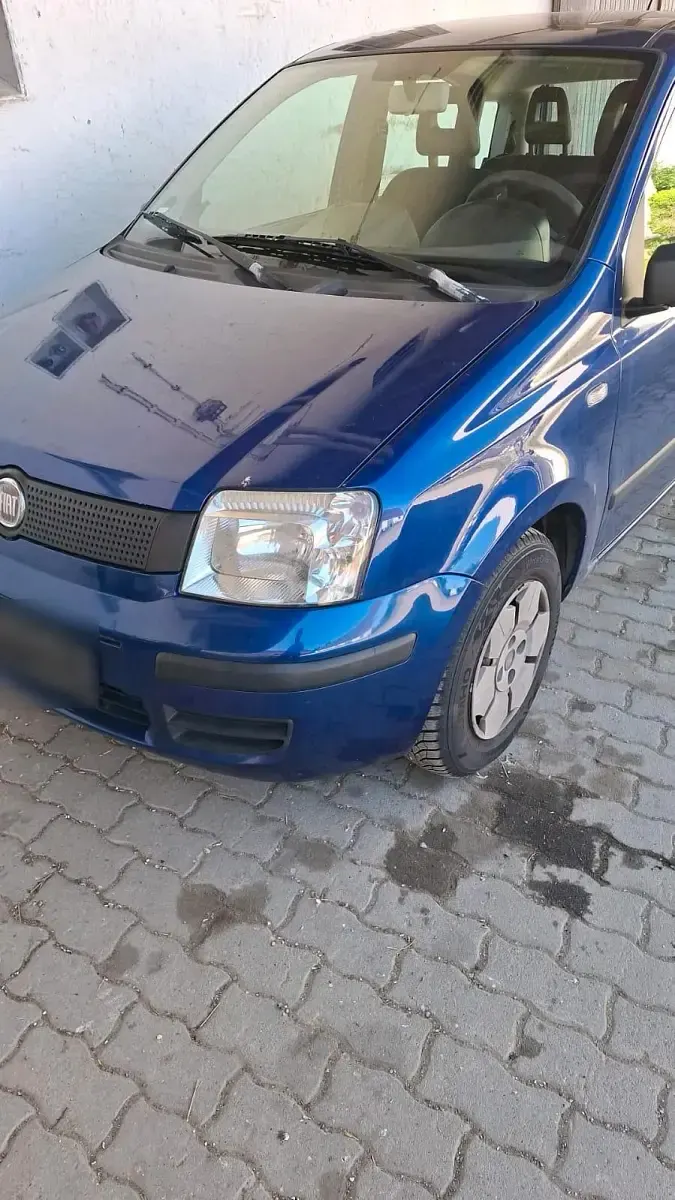 Gebraucht Fiat Panda 54 PS (39 kW) 2009 Blau Kleinwagen
