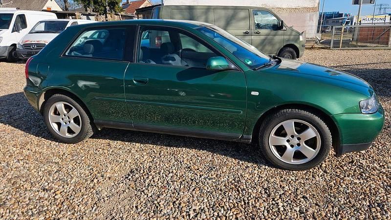 Gebraucht Audi A3 Ambiente 102 PS (75 kW) 2003 Grün Kleinwagen