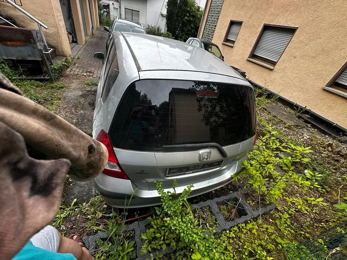 Gebraucht Honda Jazz 2003 Kleinwagen