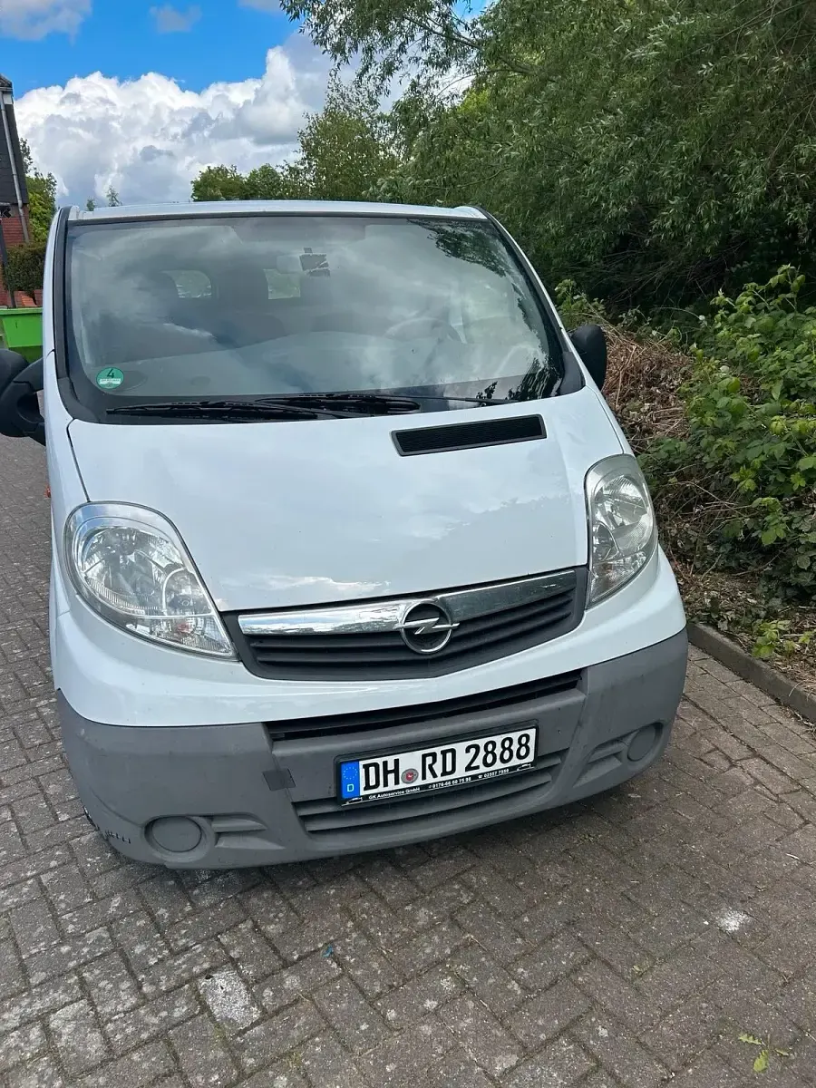 Gebraucht Opel Vivaro 114 PS (83 kW) 2015 Weiß Van / Kleinbus