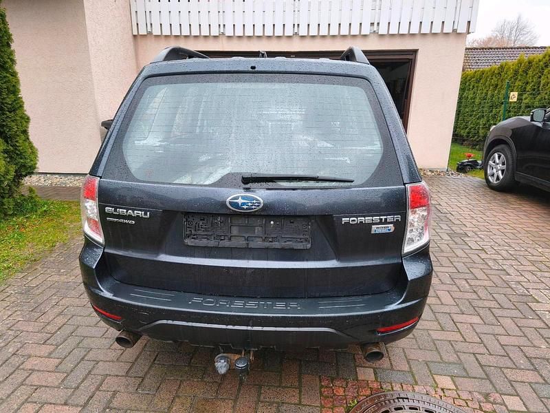 Gebraucht Subaru Forester 147 PS (108 kW) 2013 Grau SUV