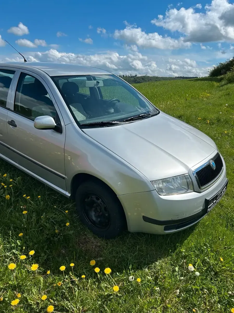 Gebraucht Skoda Fabia 55 PS (40 kW) 2004 Silber Limousine