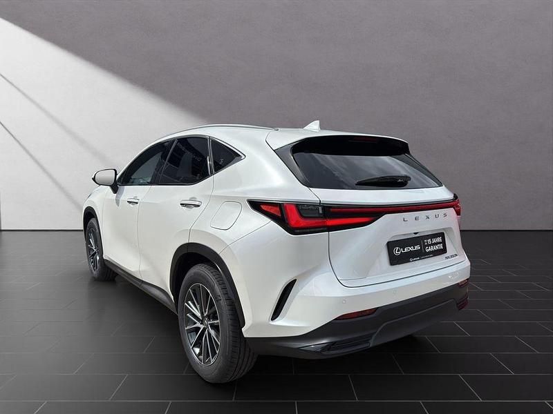 Neu Lexus NX350h Executive Line 243 PS (178 kW) 2025 Titaniumweiß SUV
