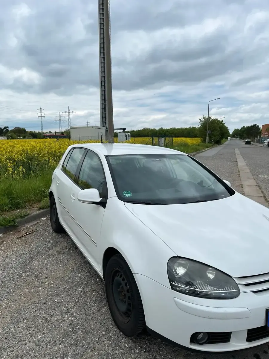 Gebraucht VW Golf V 80 PS (58 kW) 2008 Weiß Kleinwagen