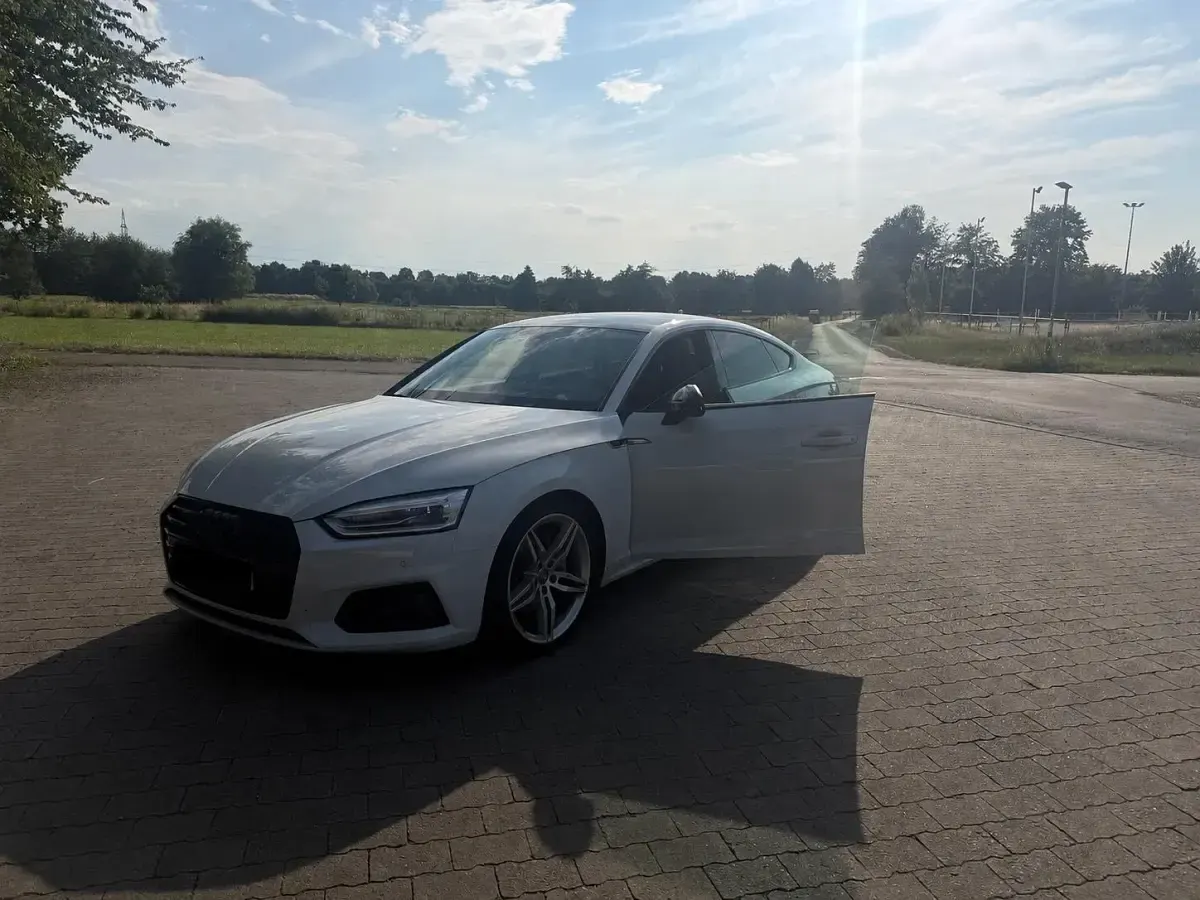 Gebraucht Audi A5 Comfort 190 PS (139 kW) 2019 Weiß Coupé