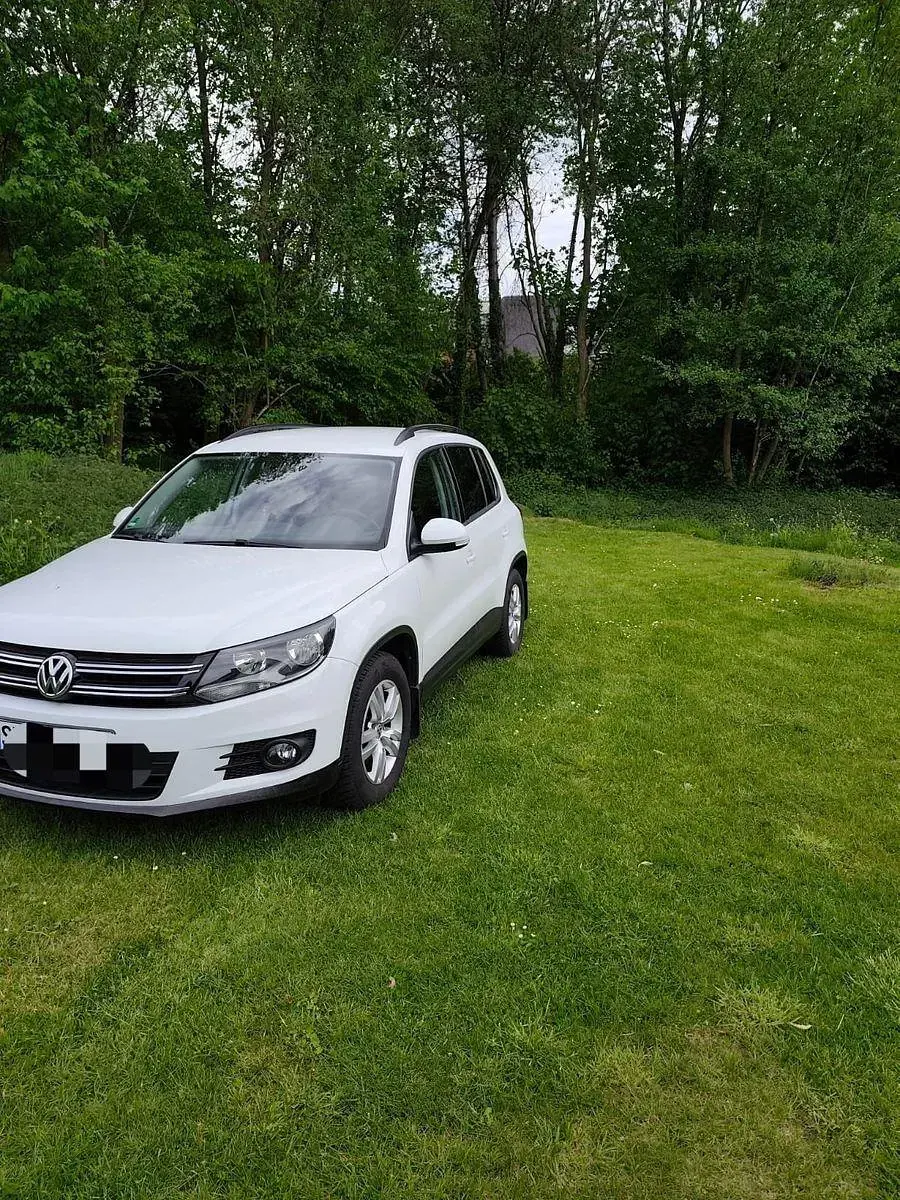 Usata VW Tiguan 110 CV (80 kW) 2015 Bianco SUV