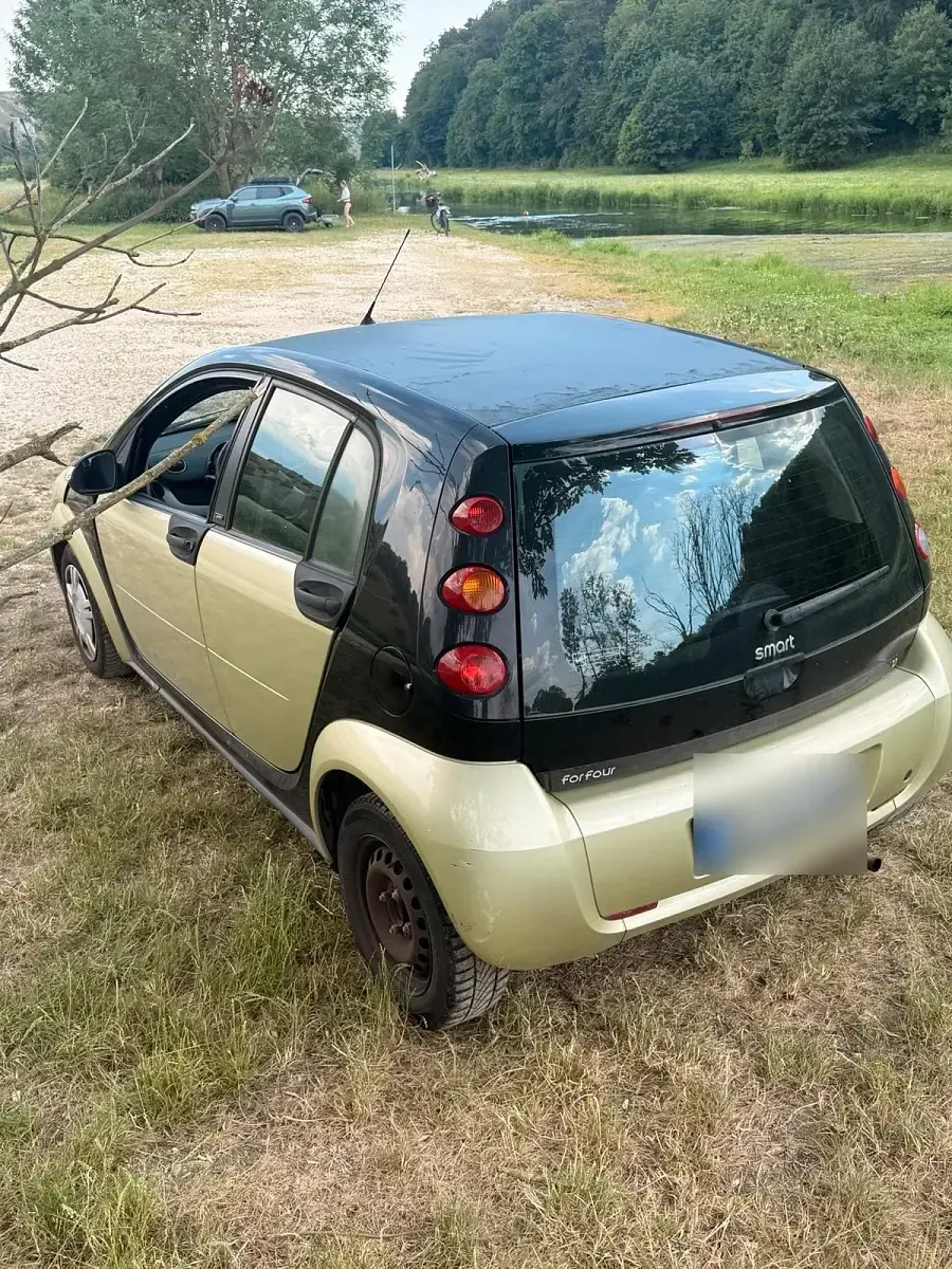 Gebraucht Smart ForFour 55 PS (40 kW) 2004 Grün Kleinwagen