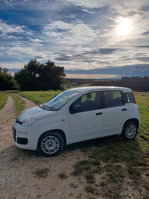 Gebraucht Fiat Panda Easy 69 PS (50 kW) 2019 Weiß Kleinwagen