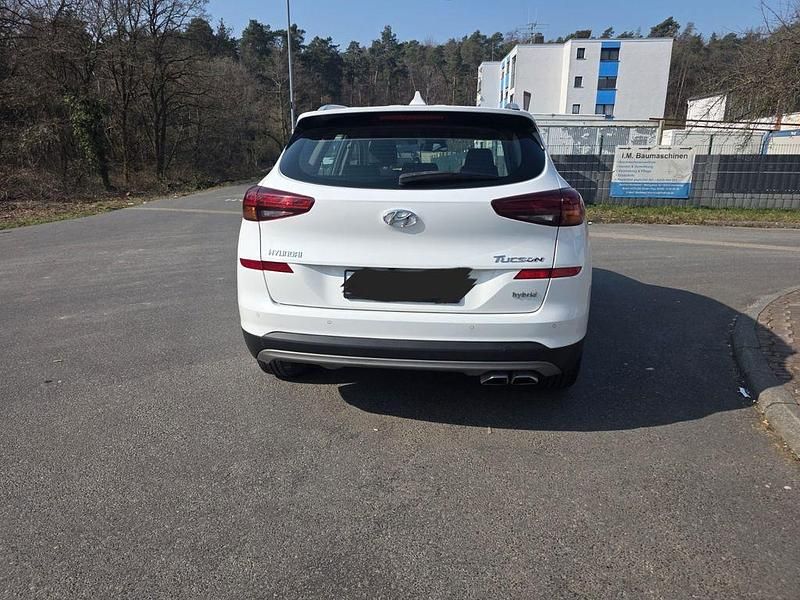 Gebraucht Hyundai Tucson 116 PS (85 kW) 2020 Weiß SUV