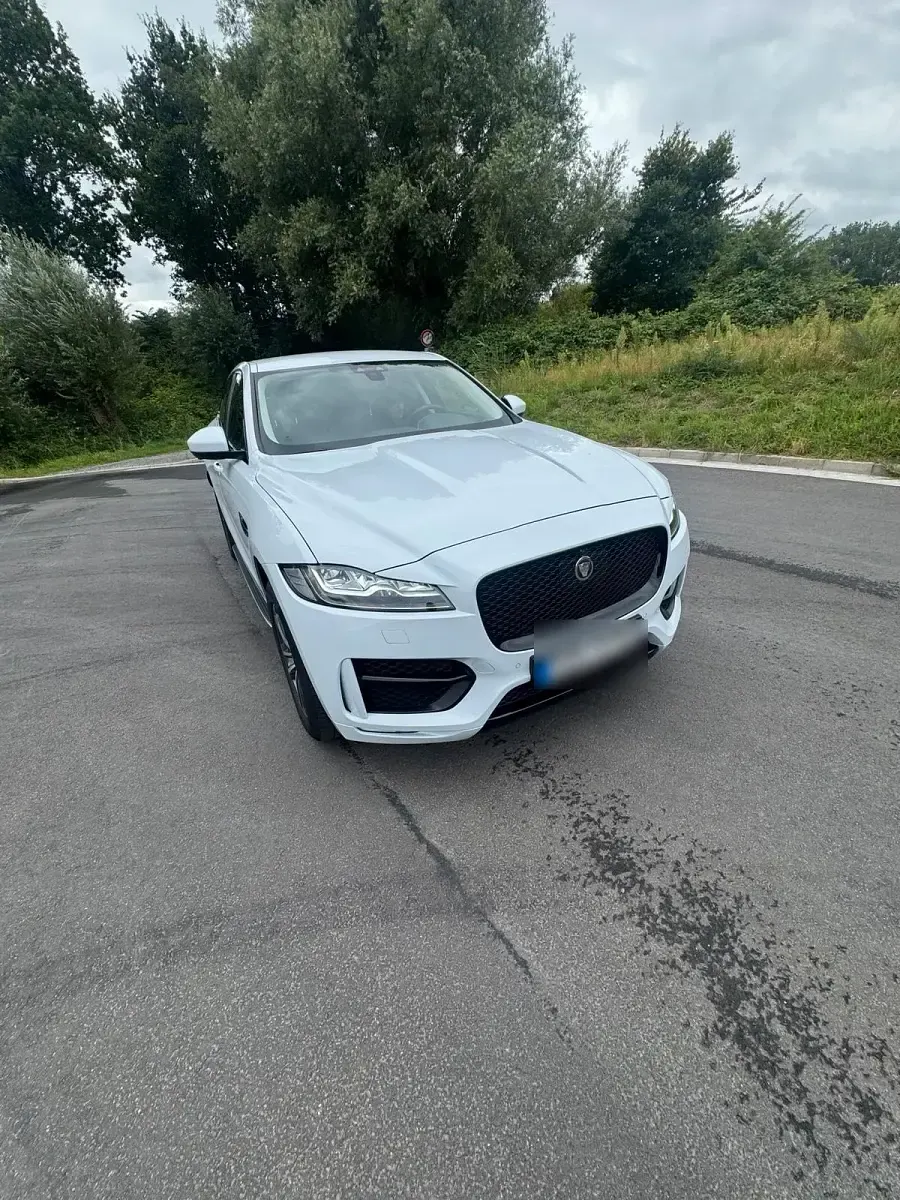 Gebraucht Jaguar F-Pace R-Sport 250 PS (183 kW) 2019 Weiß SUV