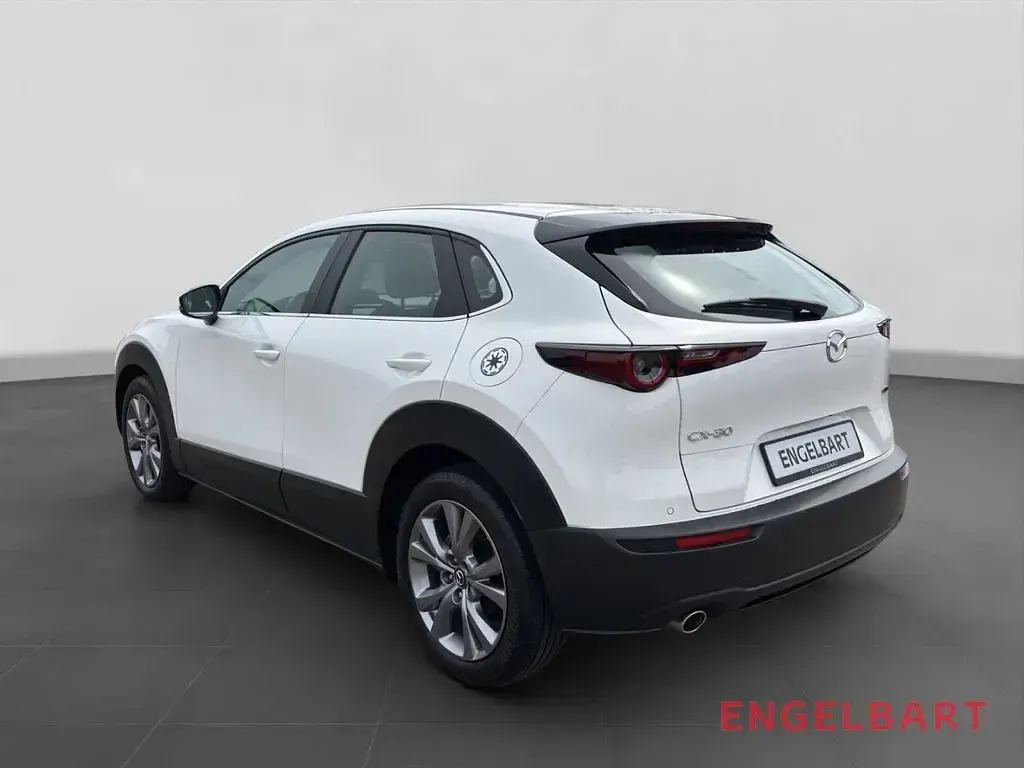 Gebraucht Mazda CX-30 Selection 122 PS (89 kW) 2023 Weiss SUV