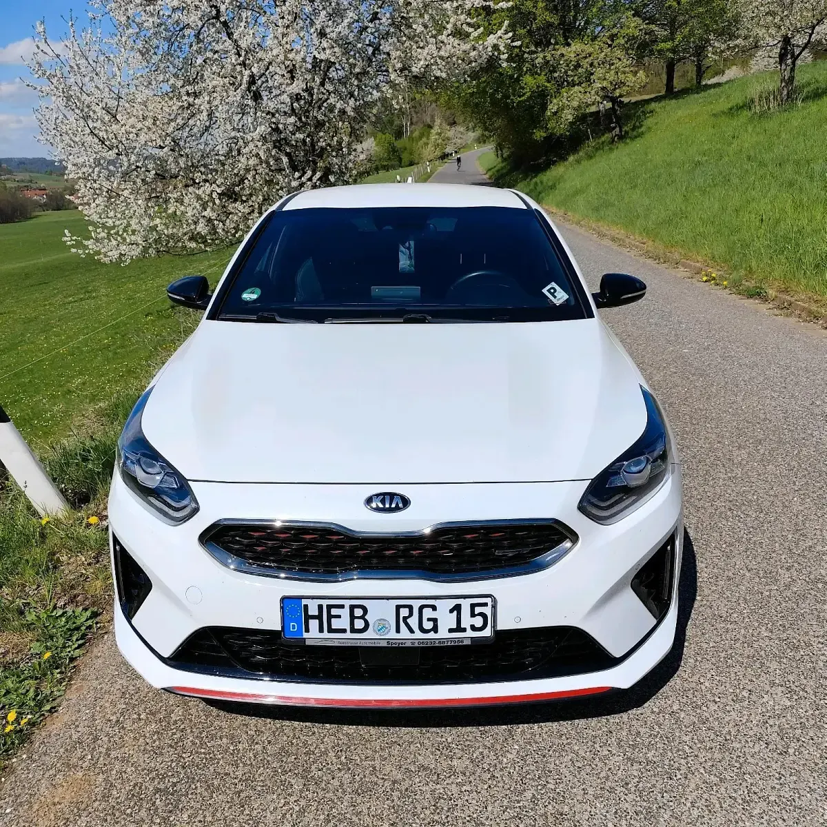 Gebraucht Kia ProCeed GT 204 PS (150 kW) 2019 Weiß Kombi